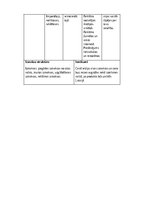 Eseja 'Radošums un inovācijas organizācijā', 4.