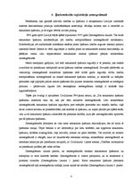 Referāts 'Zemesgrāmata', 8.