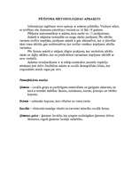 Referāts 'Ģimenes nozīme jauniešu dzīvē', 8.