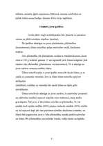 Referāts 'Betons, betona paneļi', 6.