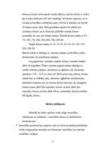 Referāts 'Betons, betona paneļi', 10.