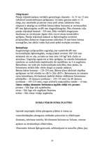 Referāts 'Betons, betona paneļi', 16.