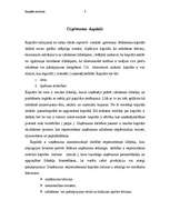 Referāts 'Uzņēmuma kapitāls', 1.