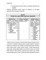 Referāts 'Uzņēmuma kapitāls', 2.