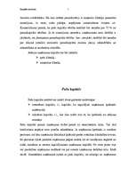 Referāts 'Uzņēmuma kapitāls', 3.