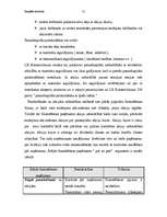 Referāts 'Uzņēmuma kapitāls', 10.