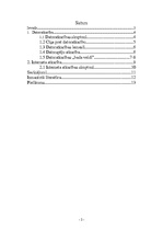 Referāts 'Datoratkarība un interneta atkarība jauniešu vidū', 2.