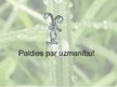 Prezentācija 'Bioloģiskā lauksaimniecība Latvijā', 24.