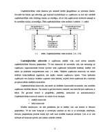 Diplomdarbs 'Uzņēmējdarbības reģionālā attīstība Latvijā', 8.