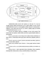 Diplomdarbs 'Uzņēmējdarbības reģionālā attīstība Latvijā', 9.