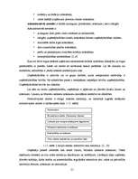 Diplomdarbs 'Uzņēmējdarbības reģionālā attīstība Latvijā', 21.