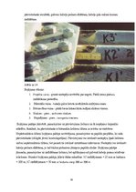 Prezentācija 'Inžinierbūves, tilti', 19.