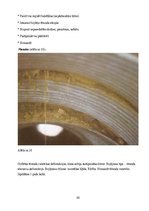 Prezentācija 'Inžinierbūves, tilti', 23.