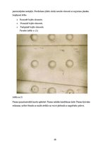 Prezentācija 'Inžinierbūves, tilti', 27.