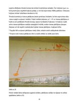 Prezentācija 'Inžinierbūves, tilti', 33.