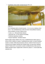 Prezentācija 'Inžinierbūves, tilti', 38.