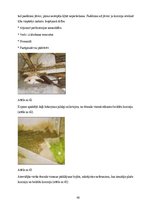 Prezentācija 'Inžinierbūves, tilti', 43.