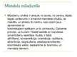 Prezentācija 'Mandalas', 8.