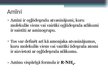 Prezentācija 'Amīni', 2.