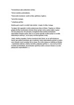 Referāts 'Sociālā aprūpētāja profesionālā darbība', 6.