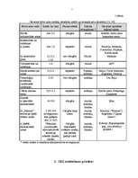 Referāts 'Speciālo ekonomisko zonu būtība, to attīstība Latvijā', 5.