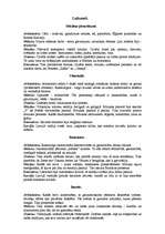 Konspekts 'Laikmeti. Mūzikas pirmsākumi', 1.