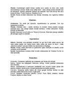 Konspekts 'Laikmeti. Mūzikas pirmsākumi', 2.