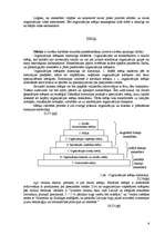 Referāts 'Organizācijas iekšējā un ārējā vide', 6.