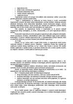 Referāts 'Organizācijas iekšējā un ārējā vide', 10.