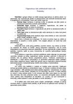 Referāts 'Organizācijas iekšējā un ārējā vide', 12.