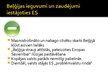 Prezentācija 'Eiropas Savienības dalībvalstis - Beļģija, Spānija, Luksemburga, Ungārija, Dānij', 6.