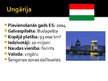 Prezentācija 'Eiropas Savienības dalībvalstis - Beļģija, Spānija, Luksemburga, Ungārija, Dānij', 12.