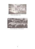 Referāts 'Latvija Krievijas pakļautībā 17.-19.gadsimtā', 15.