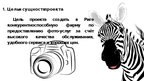 Prezentācija 'Бизнес идея фото-услуг "Зебра"', 2.