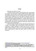 Referāts 'Budžeta plānošanas process', 3.