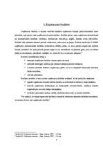 Referāts 'Budžeta plānošanas process', 4.