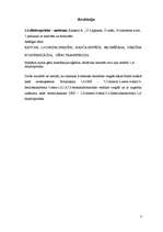 Referāts '1,4 - dihidropiridīni medicīnai', 3.