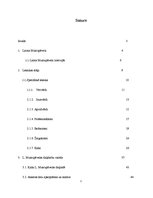 Referāts 'Leksikas slāņu izmantošanas dažādība Laimas Muktupāvelas daiļradē', 2.