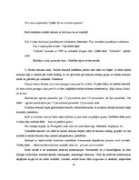 Referāts 'Leksikas slāņu izmantošanas dažādība Laimas Muktupāvelas daiļradē', 36.