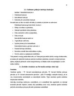 Prakses atskaite 'Valsts policijas Vidzemes reģiona pārvaldes Gulbenes policijas iecirknis.', 10.