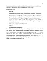 Prakses atskaite 'Valsts policijas Vidzemes reģiona pārvaldes Gulbenes policijas iecirknis.', 29.