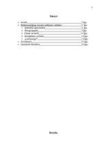 Referāts 'Enerģētika', 2.