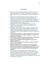 Referāts 'Enerģētika', 21.