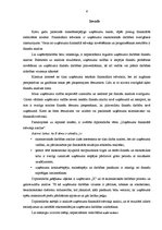 Diplomdarbs 'Uzņēmuma finansiālā stāvokļa analīze', 6.