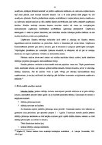 Diplomdarbs 'Uzņēmuma finansiālā stāvokļa analīze', 19.