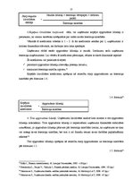 Diplomdarbs 'Uzņēmuma finansiālā stāvokļa analīze', 23.