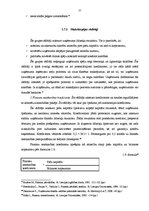 Diplomdarbs 'Uzņēmuma finansiālā stāvokļa analīze', 25.