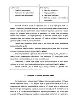 Diplomdarbs 'Uzņēmuma finansiālā stāvokļa analīze', 41.