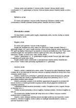 Referāts 'Slāvu valodas', 4.