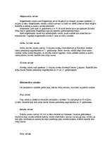 Referāts 'Slāvu valodas', 5.